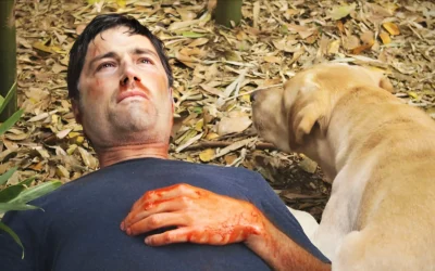 15 Years Later: Reflecting on the Cast of ‘Lost’ and the Series Finale