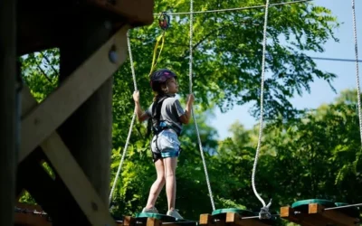 Cincinnati Zoo: A Year of Transformative Events and Conservation Successes