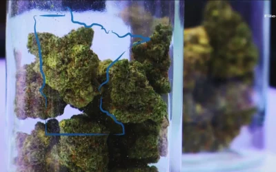 City of Anoka Breaks Ground on Cannabis Dispensary