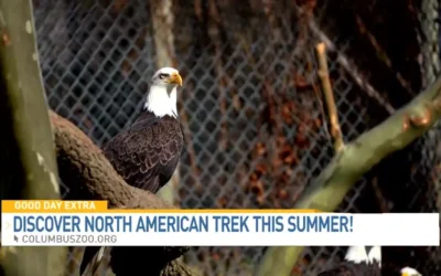 Columbus Zoo Introduces New Attraction: North America Trek