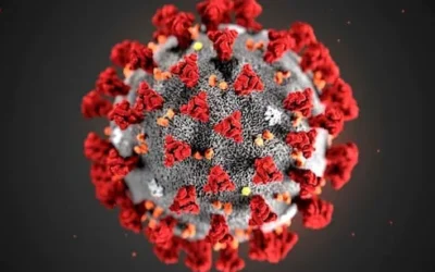 Covid-19 Resurgence: Understanding the JN.1 Variant and Its Symptoms