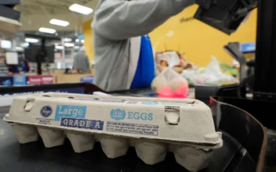 Egg Prices: From Fiction to Reality – A Comprehensive Look at Recent Trends