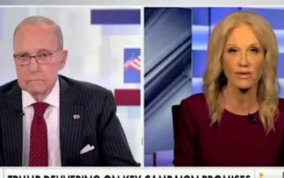 Kellyanne Conway Delivers Message To ‘Free Market Friends’ Who Said ‘Sky Was Falling’ Over Trump Tariffs
