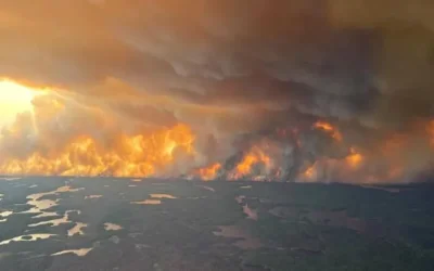 Manitoba Wildfires Grow, Forcing Tens of Thousands to Evacuate