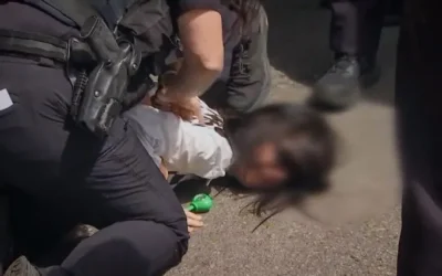 Massachusetts Police Face Criticism Over Handling of ICE Arrest