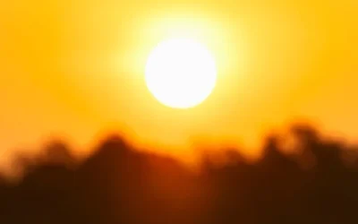 Northern California Brace for Extreme Heat: An Advisory for Residents