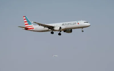 Terror in the Sky: American Airlines Flight Diverted After Shirtless Passenger Assaults Crew Member