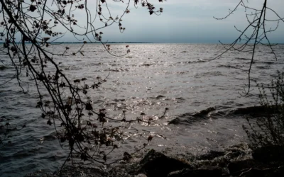 The Great Lakes Crisis: Under Threat from Federal Cuts and Deregulation
