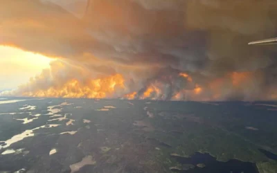 The Impact of Canadian Wildfires: Smoke and Air Quality Alerts Across the U.S.