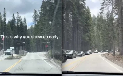 The Importance of Early Arrival at Yosemite National Park