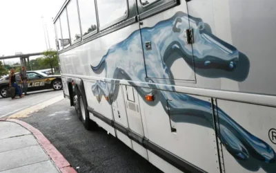 Tragedy on the Road: The Fatal Tennessee Greyhound Bus Crash