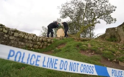 Two Men Found Guilty of Felling Britain’s Iconic Sycamore Gap Tree