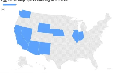 Egg Recall Map and Salmonella Outbreak Investigation: June 2025 Updates