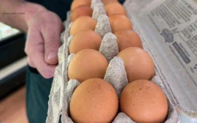 Salmonella Egg Recall: A Growing Concern Across the Nation