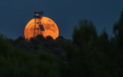 The ‘Strawberry Moon’ of 2025: A Celestial Phenomenon to Set Records