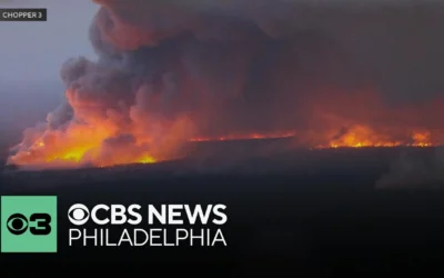 Wharton State Forest Wildfire: A Growing Concern for New Jersey Residents