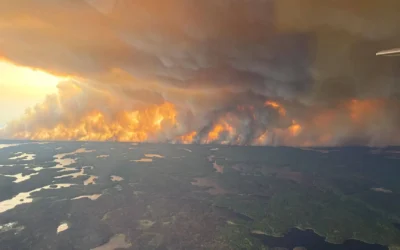 Canada’s Wildfires: A Deep Dive into the Smoke Blame Game and Realities of Natural Disasters