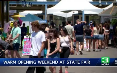 Cows to Custom Cars: Lowriders and Farm Animals Steal the Show at California State Fair