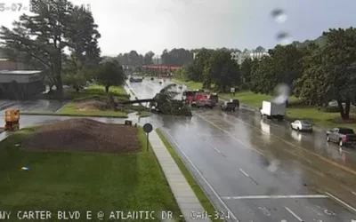 Severe Weather Leads to Fallen Trees on Cars in Gwinnett County