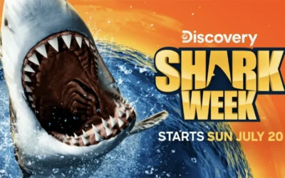 Shark Week 2025: How to Watch the Annual Summer Series