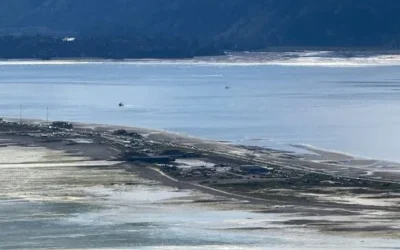 Tsunami Warning Canceled: Understanding the Recent Earthquake Near Sand Point, Alaska