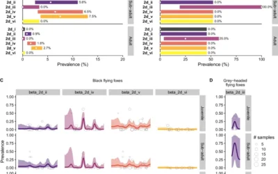 Young Bats and Their Role in Coronavirus Evolution